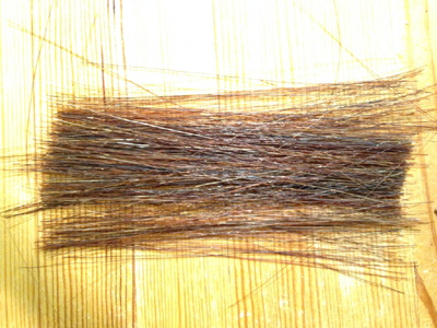 a0108319_132080.jpg