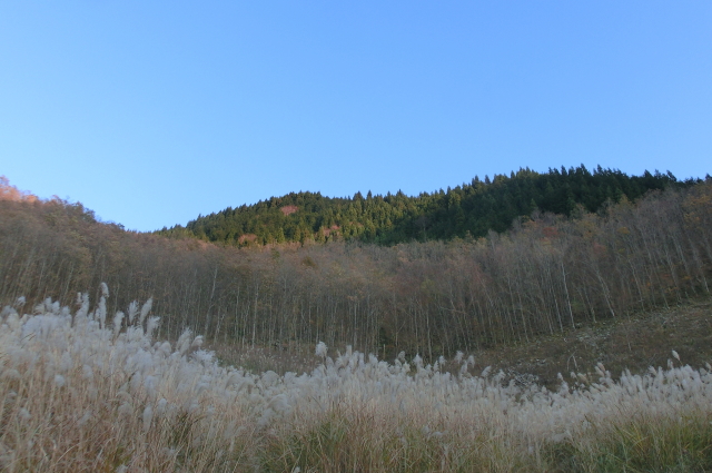 f0248120_19562267.jpg