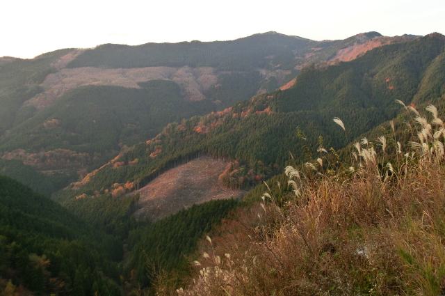 f0248120_19562979.jpg
