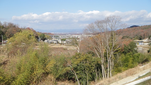 f0000521_18315578.jpg