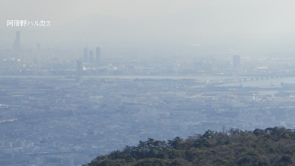 f0000521_1833437.jpg