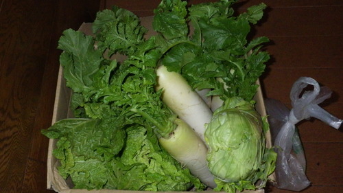 c0300035_1517528.jpg