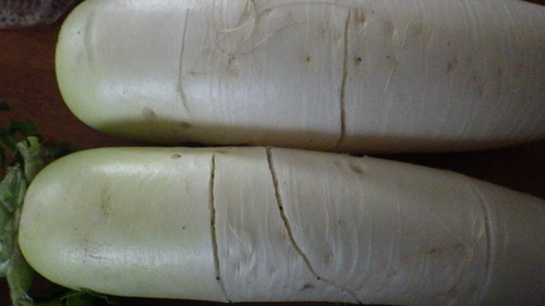 c0300035_1533360.jpg