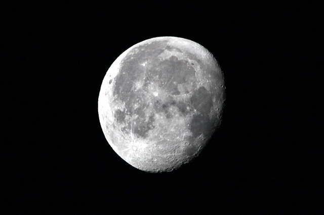 a0242438_16572753.jpg