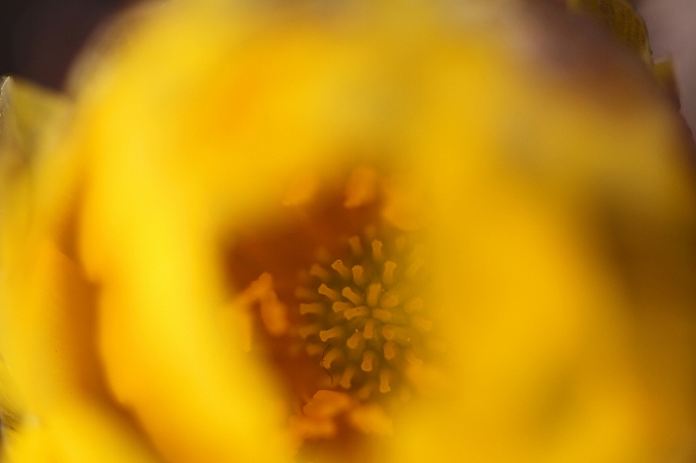 a0242438_17342018.jpg