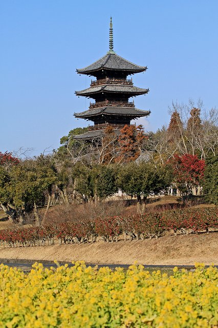 a0242438_17343379.jpg