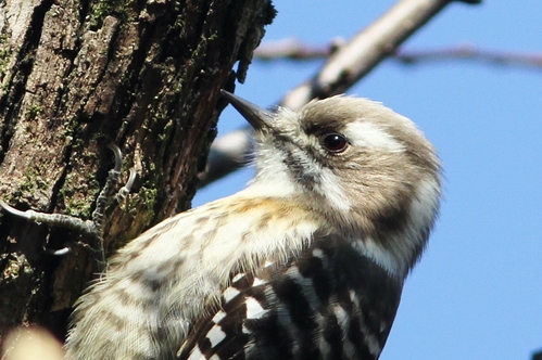 c0172139_22472013.jpg