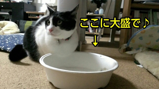c0181639_046583.jpg