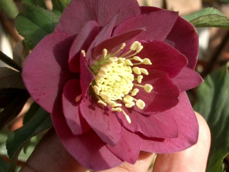 c0025140_22273850.jpg