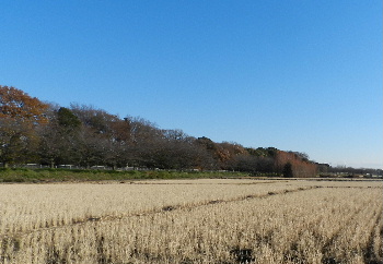 e0172950_19323647.jpg