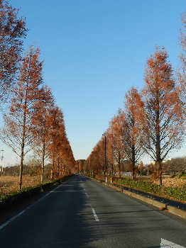 e0172950_19334361.jpg