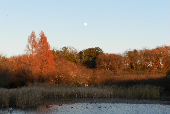 e0172950_19335379.jpg