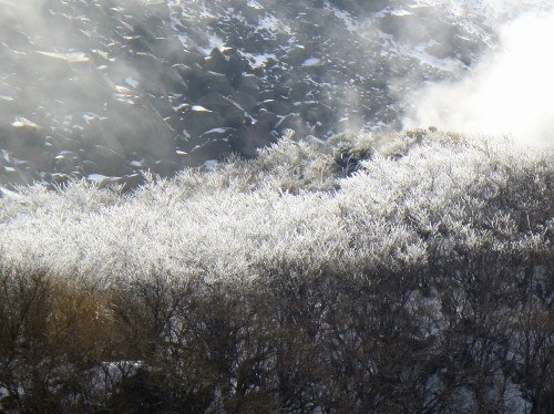 c0179351_20584772.jpg