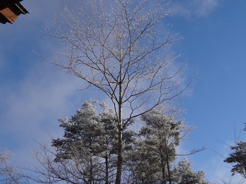 f0198556_2328493.jpg