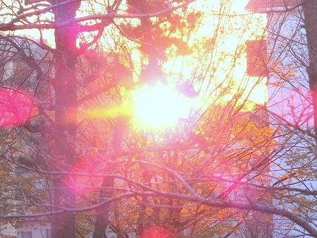 c0097558_13281924.jpg
