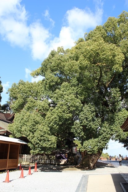 e0239458_16100720.jpg