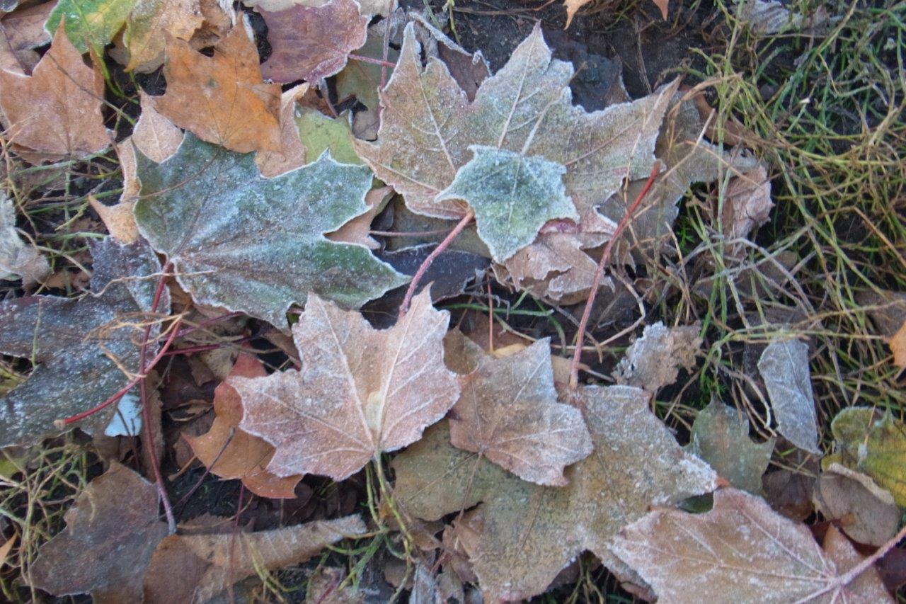 a0123465_021034.jpg