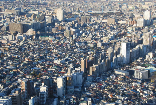 b0174068_23174633.jpg