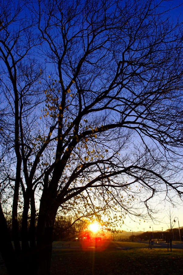 c0122670_243012.jpg