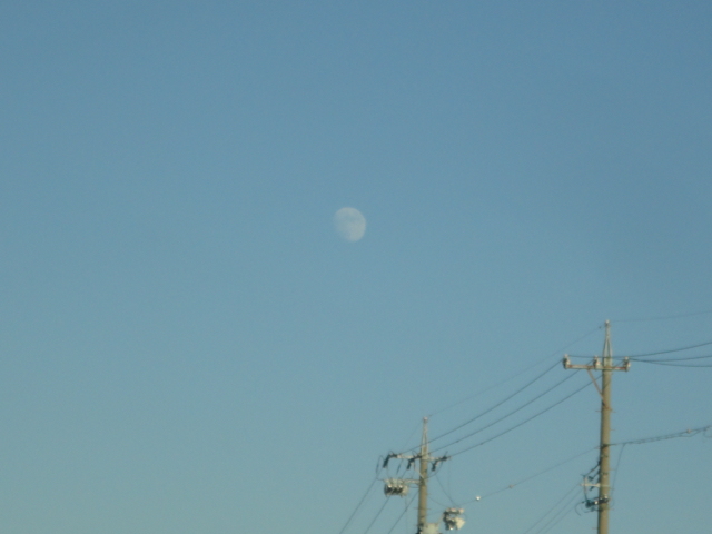 d0109373_0331363.jpg