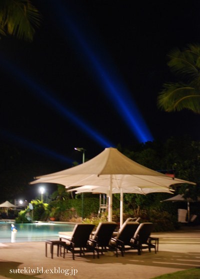 e0231876_345718.jpg