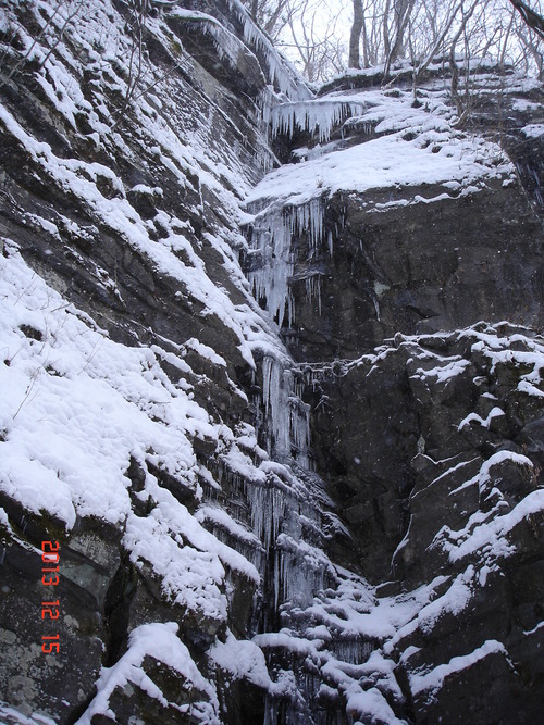 d0165378_9533052.jpg