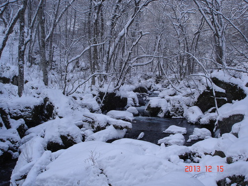 d0165378_954241.jpg
