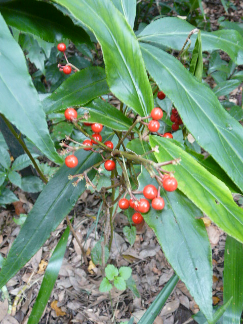 e0145782_17595617.jpg