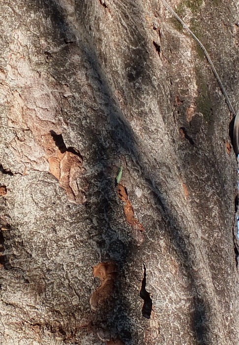b0194593_20362117.jpg