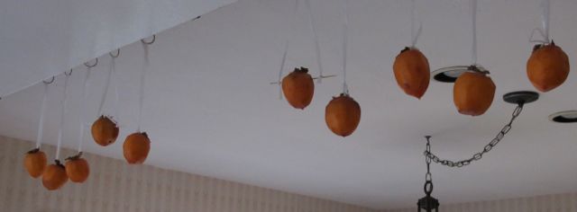 a0127398_3255991.jpg