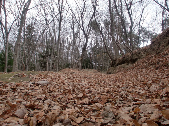 a0028803_1212937.jpg