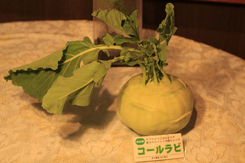 a0188405_7533610.jpg