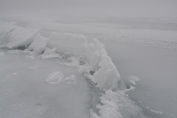 b0277008_12475863.jpg