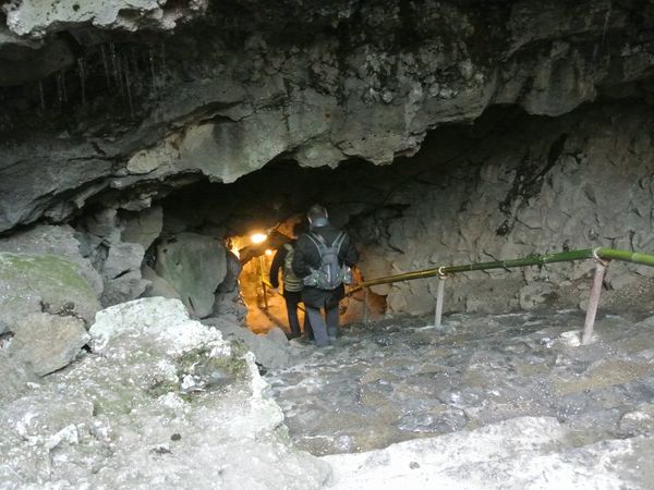 f0006510_546257.jpg