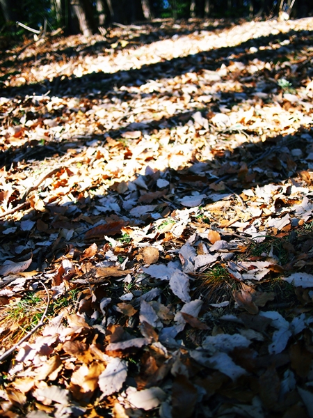 b0244811_19323537.jpg