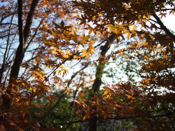 b0244811_2011142.jpg