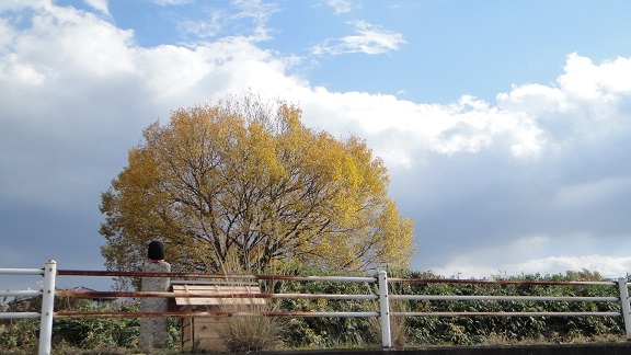 f0000521_20314738.jpg