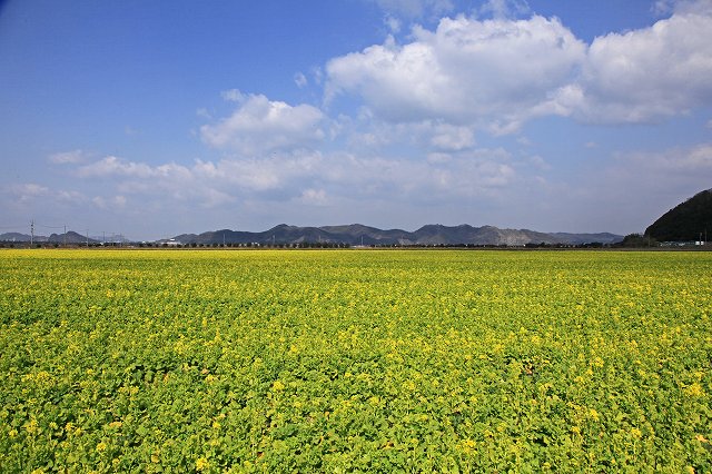 a0242438_2111593.jpg