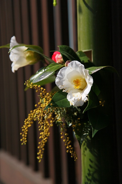 a0242438_2115677.jpg