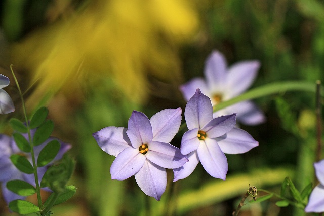 a0242438_2118821.jpg