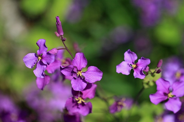 a0242438_212019.jpg