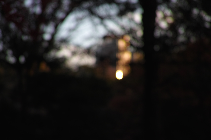 a0049639_2174220.jpg