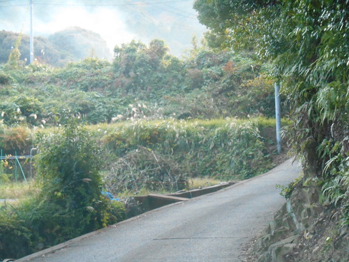 a0124543_18494231.jpg