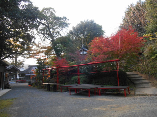 a0124543_185052100.jpg
