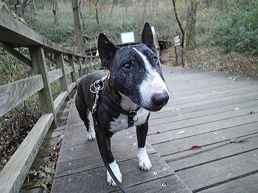 f0094843_033565.jpg