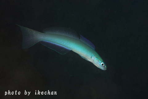 a0155467_225583.jpg