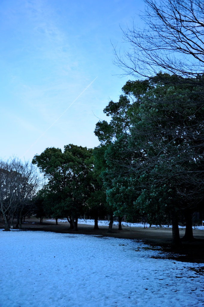 b0247073_22324467.jpg