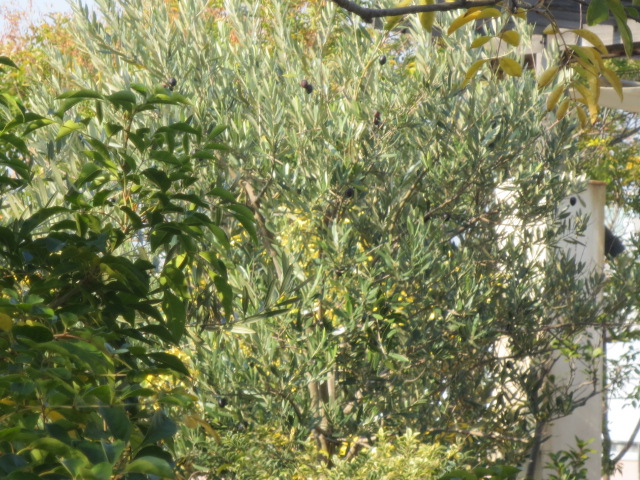 e0212073_18444334.jpg
