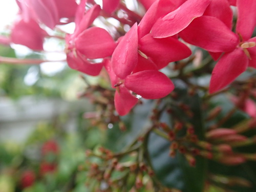 a0002177_2044549.jpg