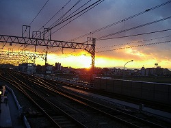 a0142083_12424045.jpg
